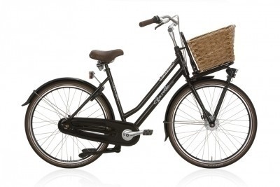 Gazelle Miss Grace