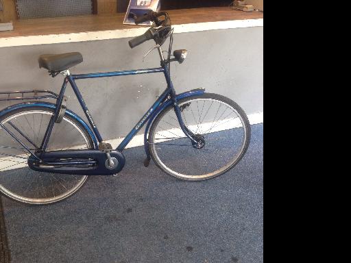 gazelle free