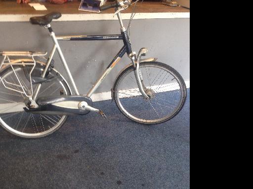 gazelle chamonx