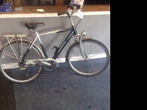 gazelle medeo